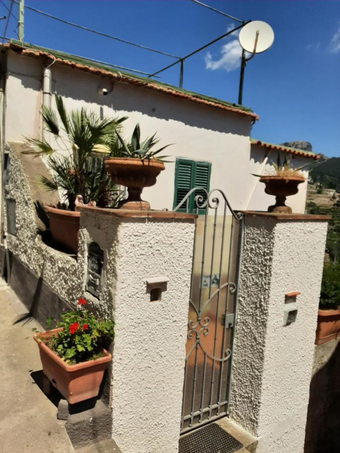 A Holiday home