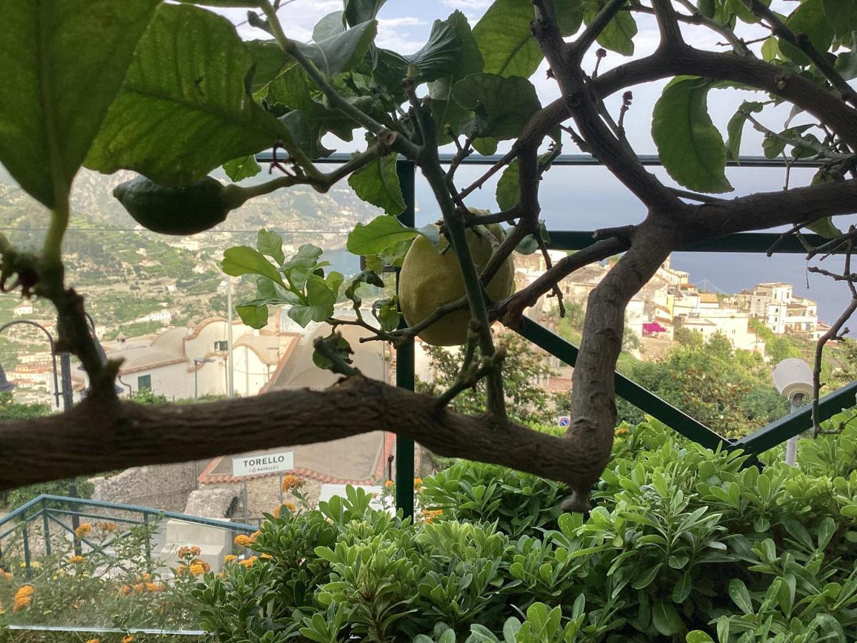 Al Borgo Torello Bed & Breakfast