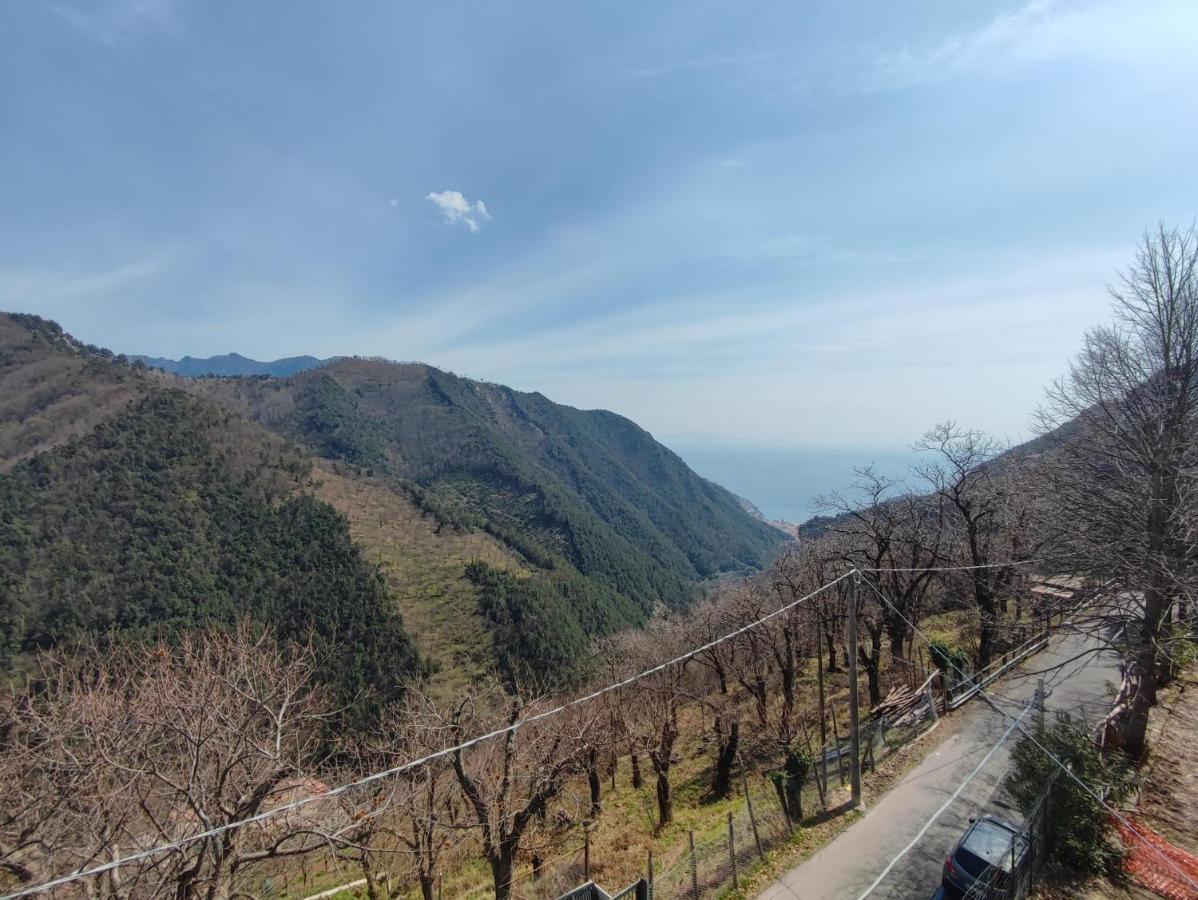 Bed & Breakfast Casa Hermitage *