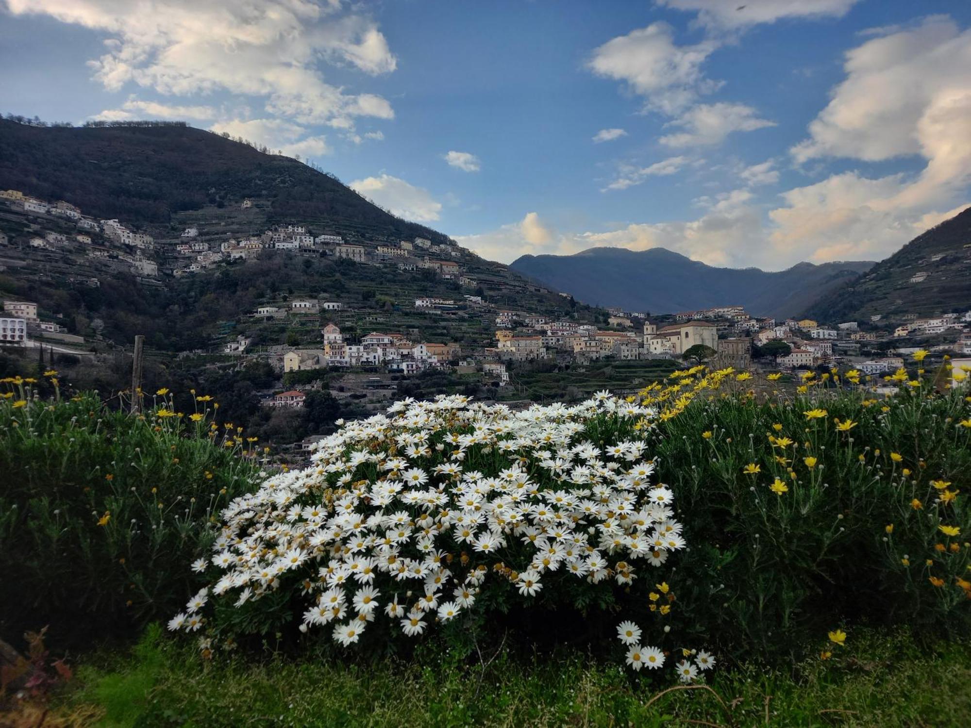 La Margherita Fiorita Nhà khách *
