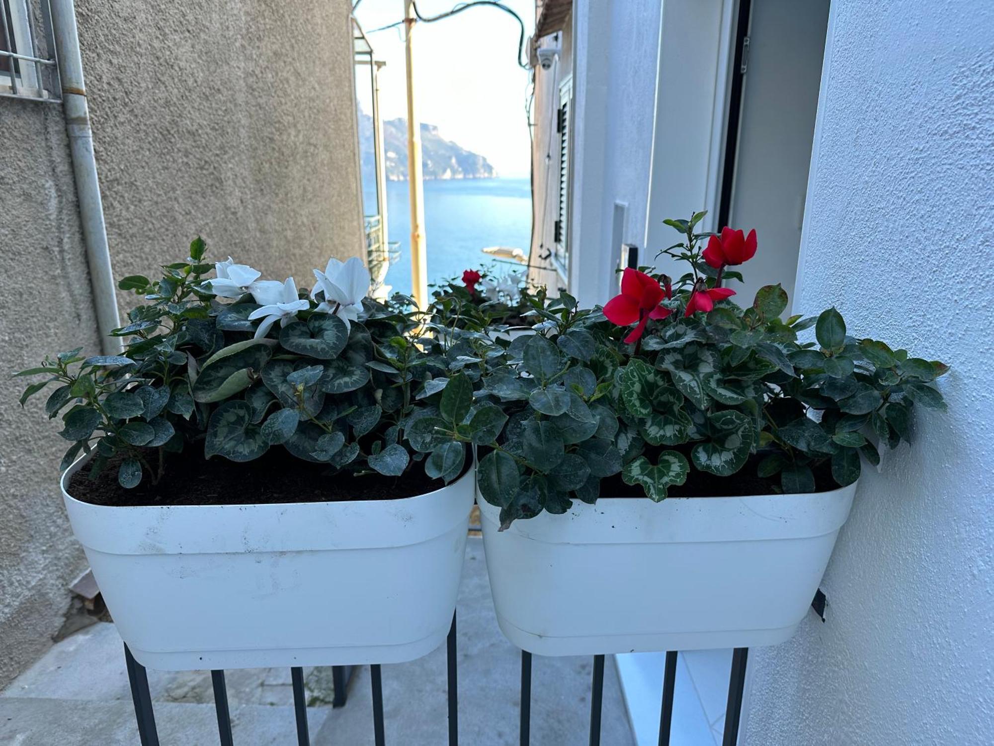 Apartment Ravello Suite