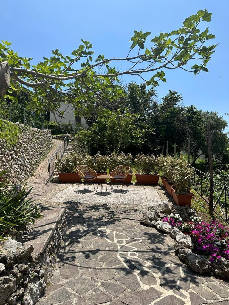 Guest house Maera