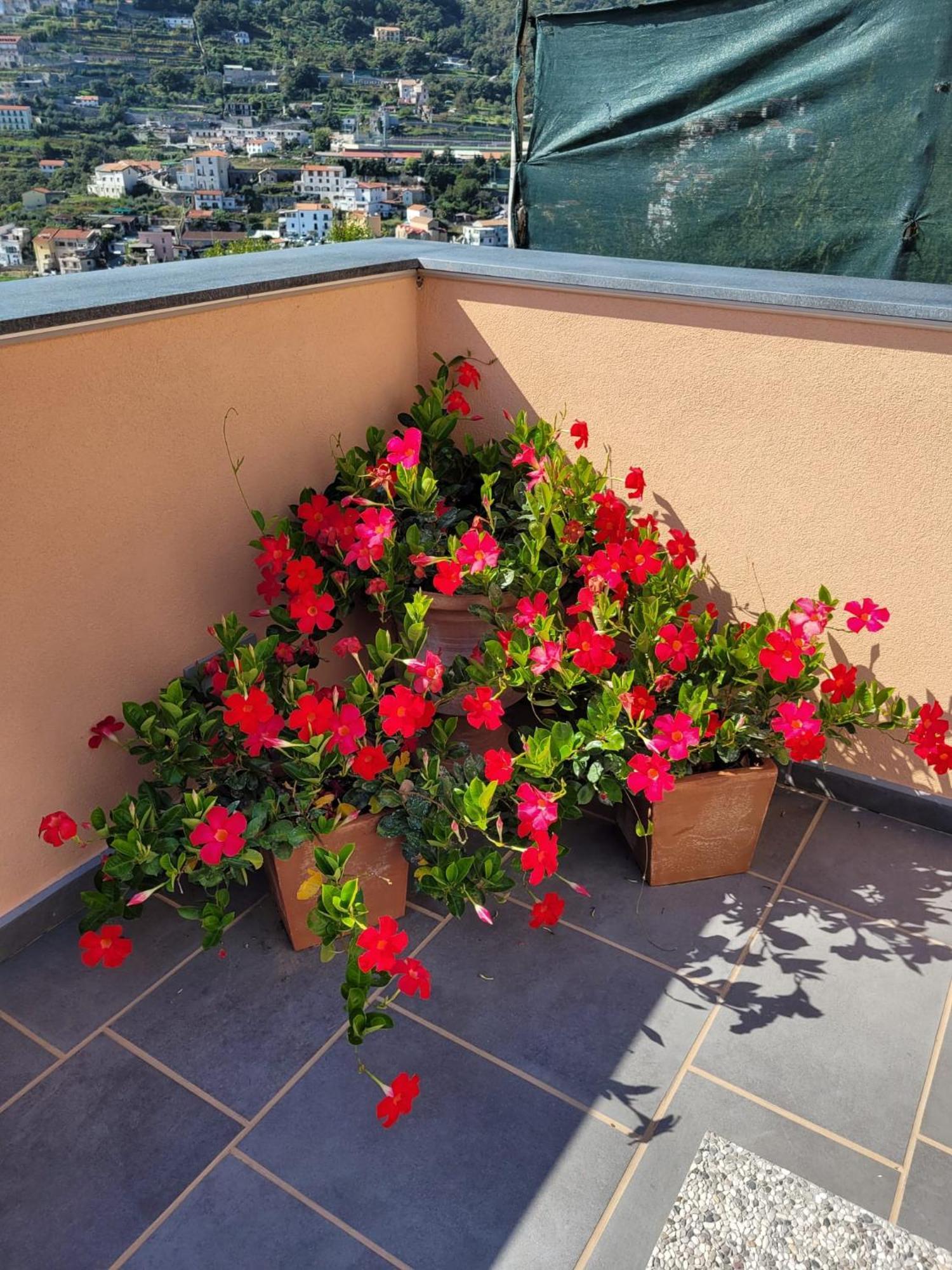 Guest house Luigi E Rachele Ravello
