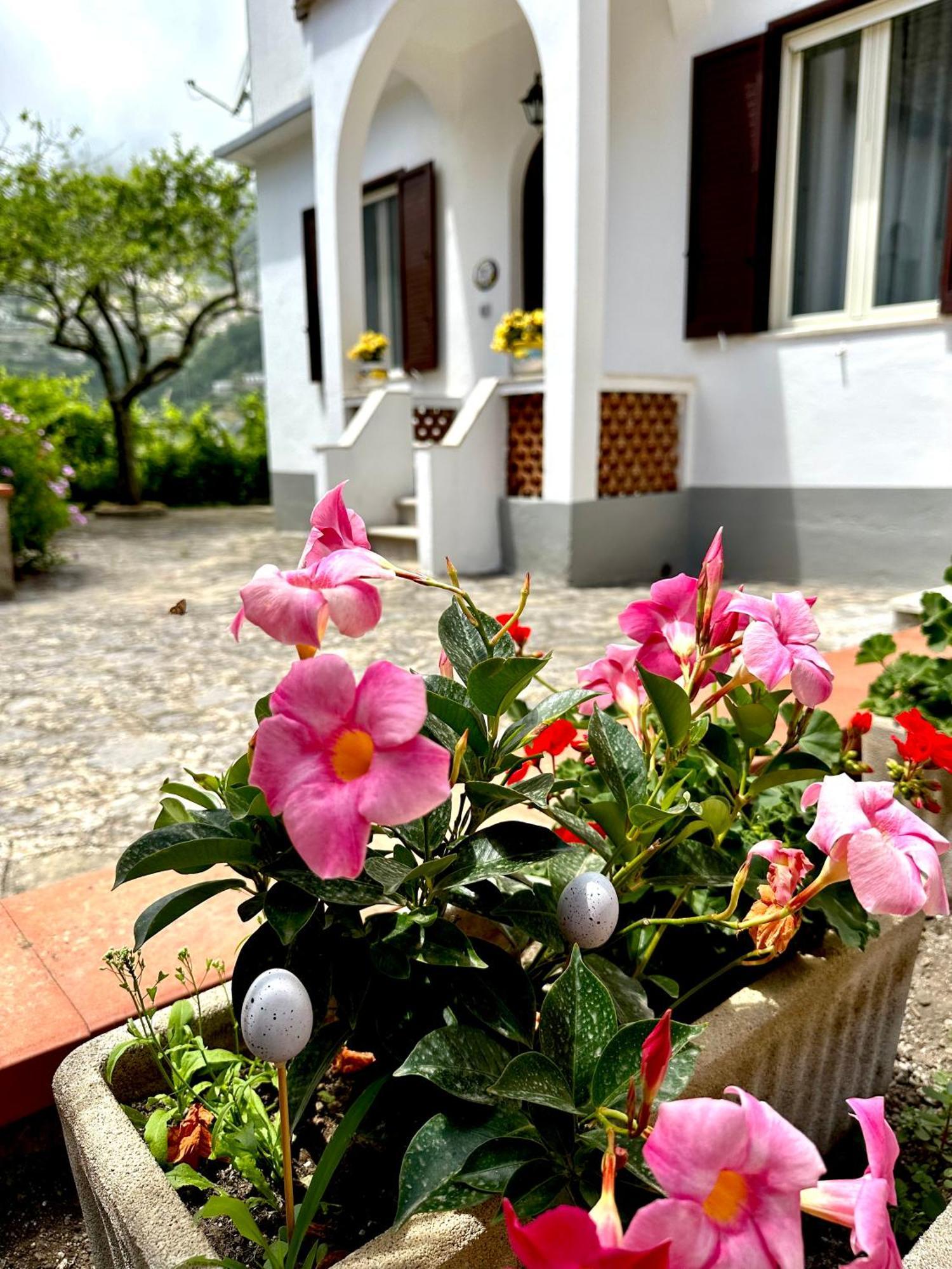 Simona House Holiday home