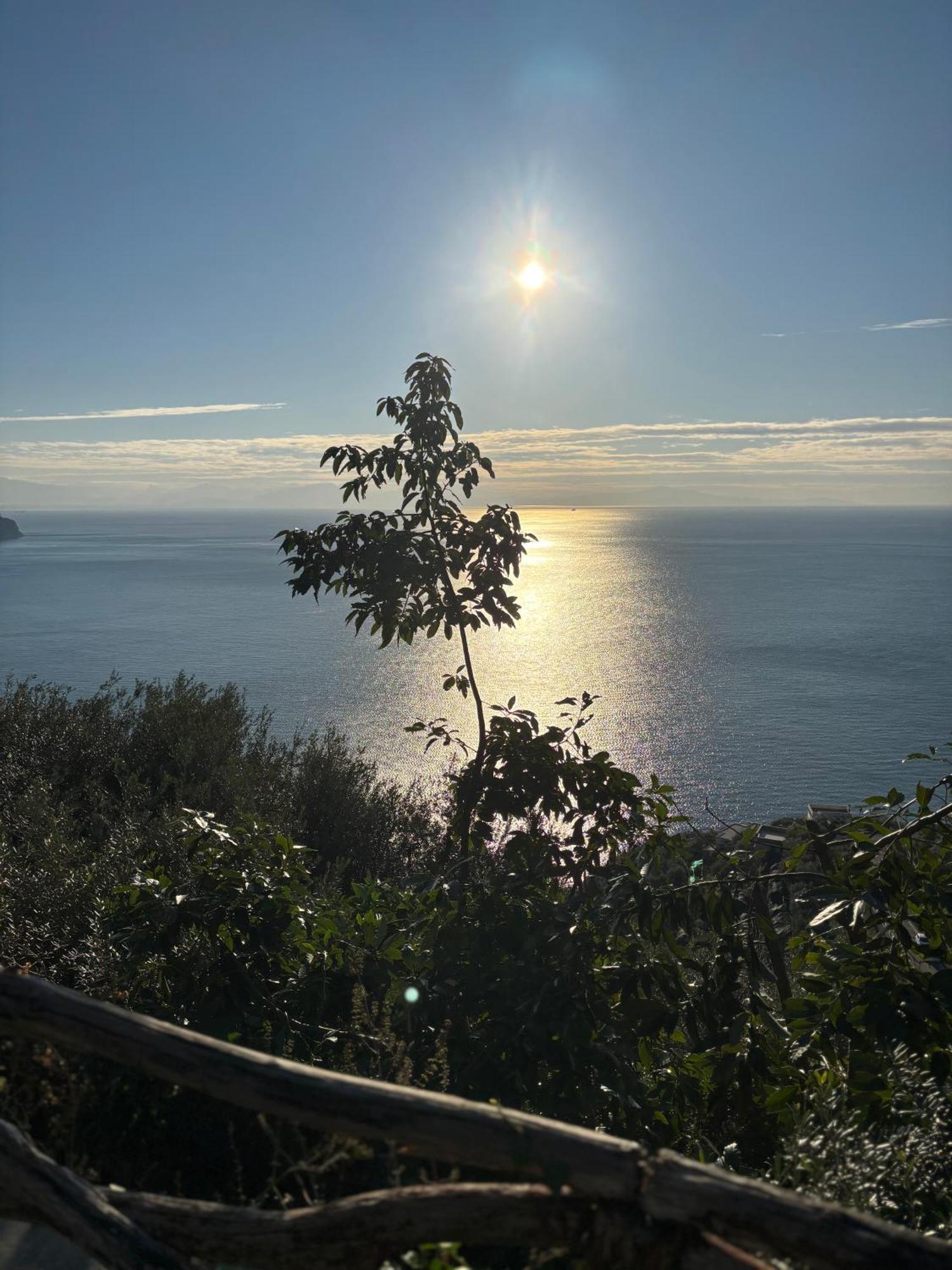 I Limoni Ravello