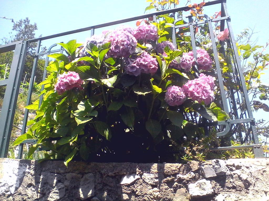 Andrea Appartamento