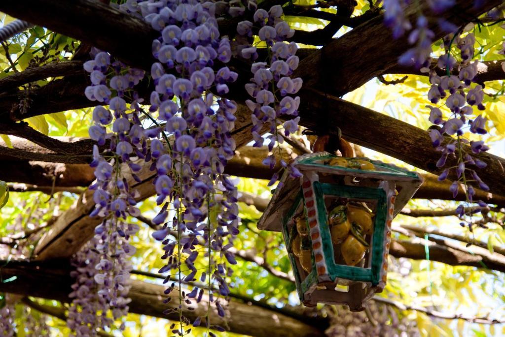 Il Roseto 3* Ravello