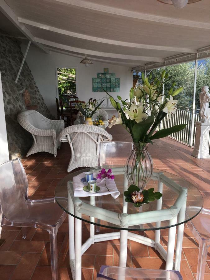 Villa Petit Ludovica *