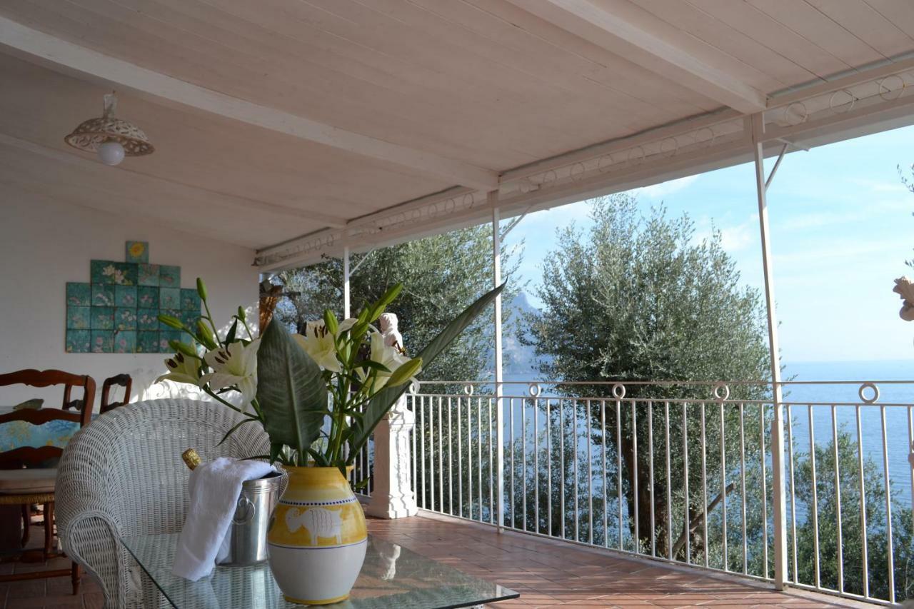 Petit Ludovica * Ravello