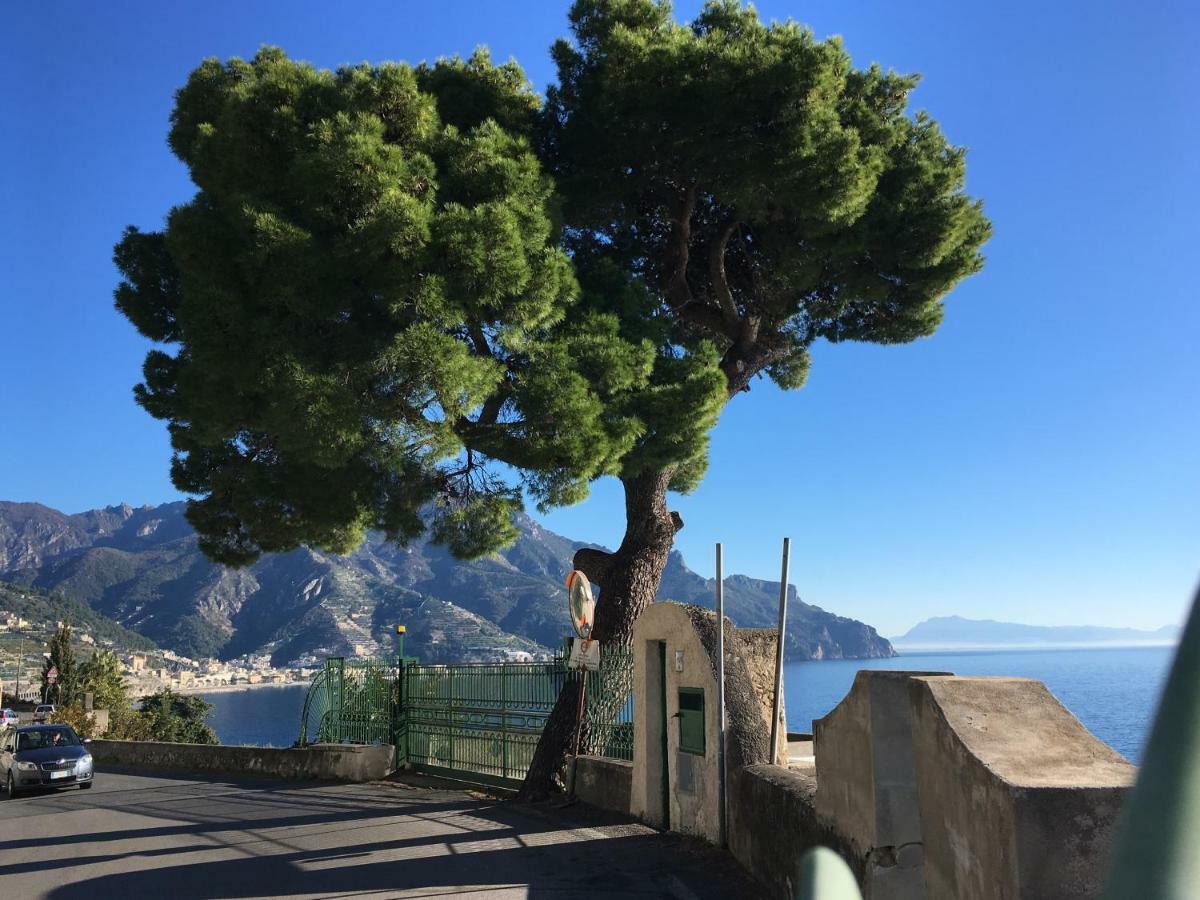 Villa Petit Ludovica *